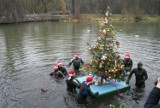Choinka na Prośnie w Kaliszu. Świąteczne drzewko zwodowane na rzece. ZDJĘCIA