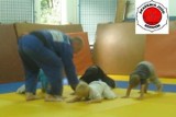 Grupa mini judo w Akademii Judo Rzeszów