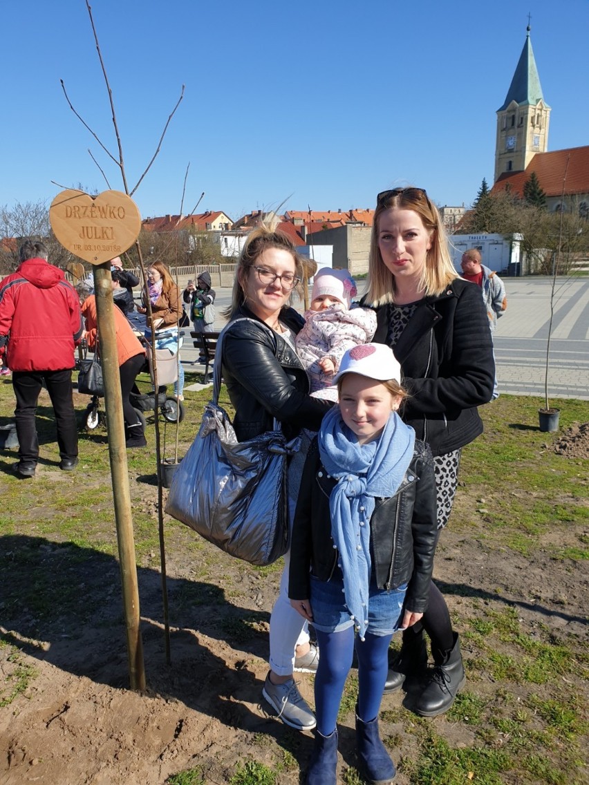 W gminie Śmigiel rozpoczęła się akcja "Drzewko Życia"