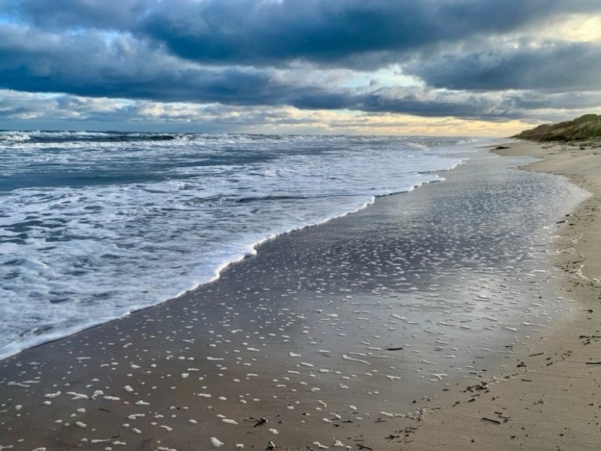 Jastarnia po sztormie (30.01.2022). Bałtyk zabrał sporo plaż, wejścia na plaże zarzucone roślinami. Bałtyk niszczył brzegi | ZDJĘCIA, WIDEO