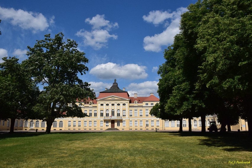 Izabella dla Muzeum Ziemiaństwa w Dobrzycy