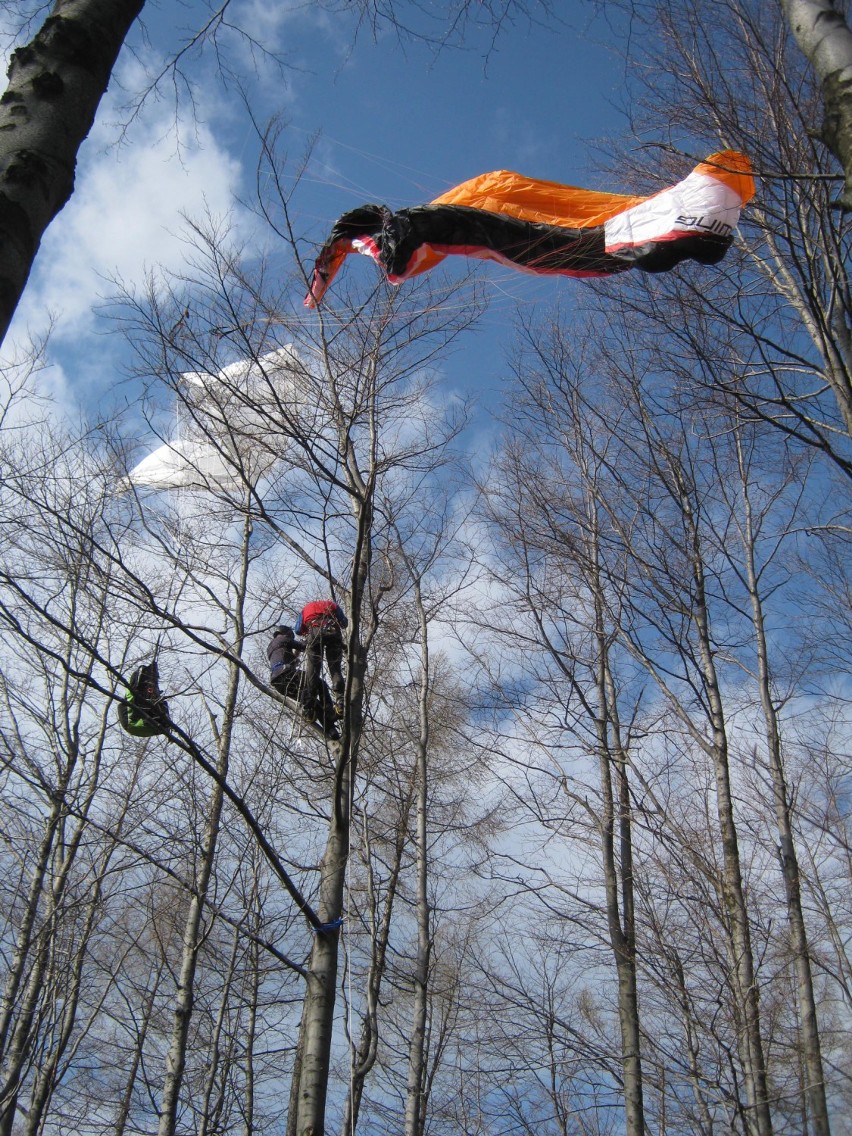 Międzybrodzie Żywieckie: Paralotniarz na drzewie [ZDJĘCIA]