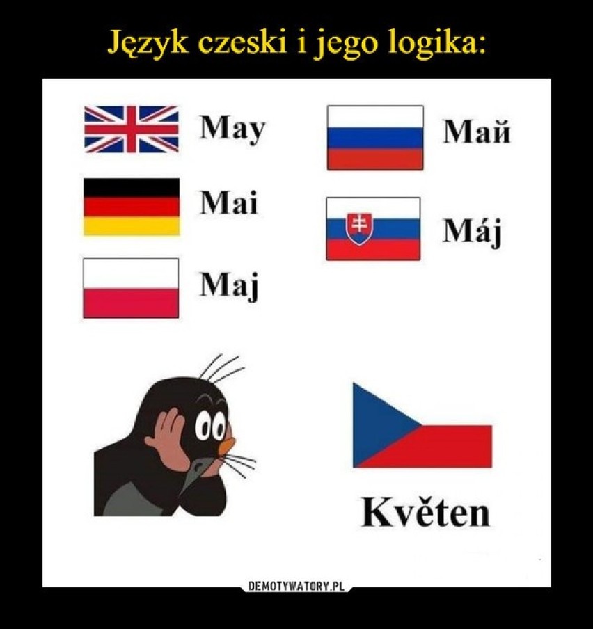 Czeskie memy robią furorę w internecie. Język czeski kopalnią memów. Dlaczego nas bawi? Nie da się go nie lubić