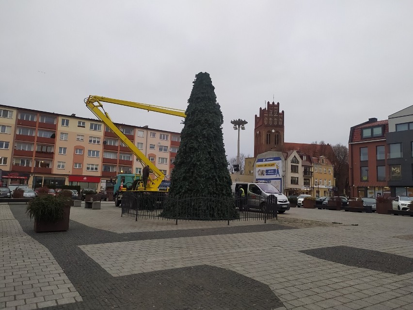 Na Placu Pokoju w Lęborku stanęła świąteczna choinka