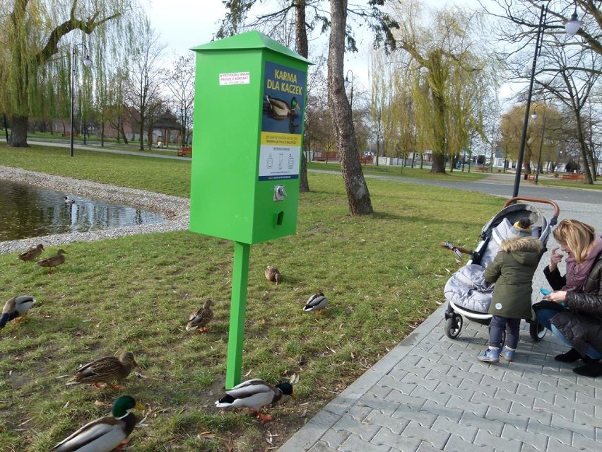 Kaczkomaty i budki dla ptaków w Parku Miejskim