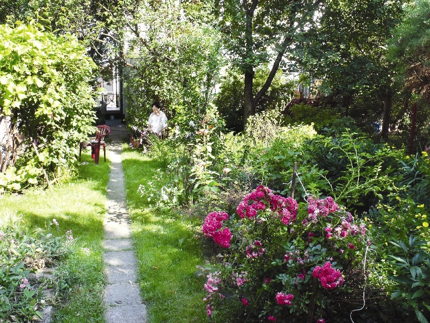 Ogród pani Teresy Gorzelskiej