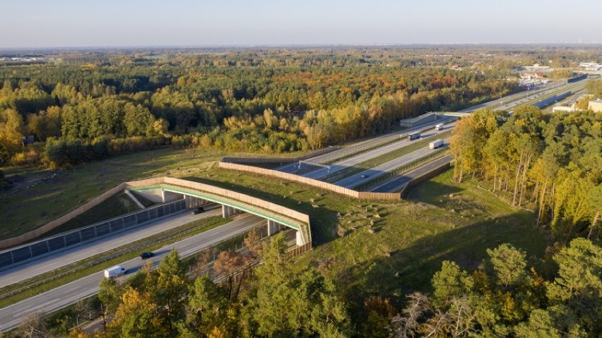 Jak zwierzęta pokonują autostrady? Zobaczcie niezwykłe zdjęcia z lotu ptaka!