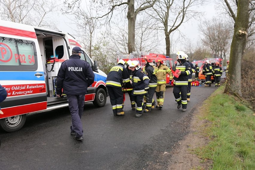 GROŹNY WYPADEK: Dwie osoby ranne w wyniku uderzenia autem w drzewo pod Baszkowem [ZDJĘCIA]