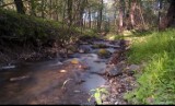 Rzeka Swelina w wiosennej scenerii - zdjęcia