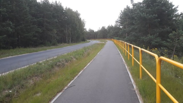 Tak prezentuje się gotowy, a nie odebrany jeszcze oficjalnie odcinek trasy rowerowej Złotoria - Lubicz