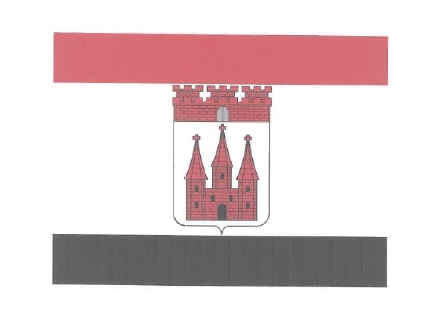 Proponowana nowa flaga Nowego Dworu Gdańskiego