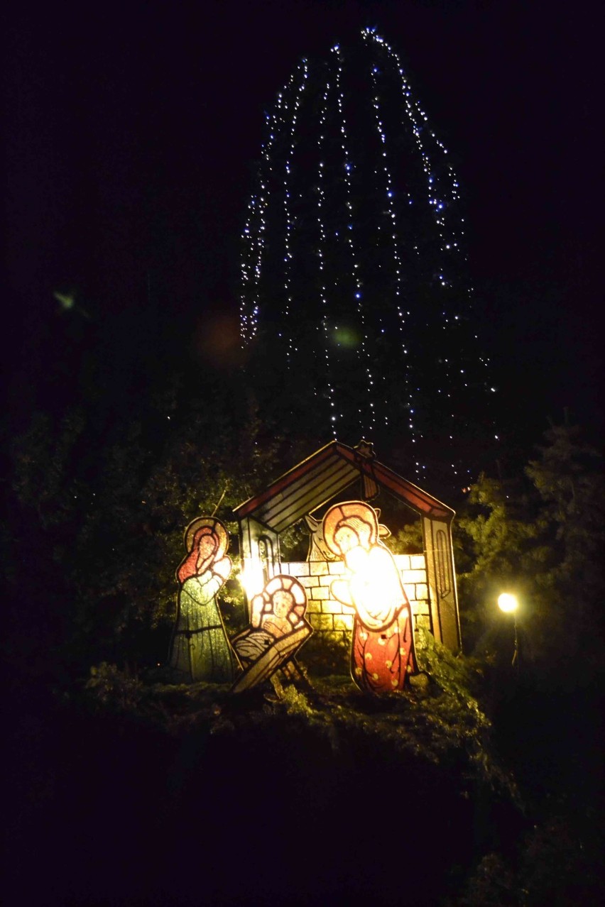 Świąteczne iluminacje w Malborku [ZDJĘCIA]. Tak wygląda miasto przed Bożym Narodzeniem