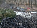 Wyrzucili śmieci do kolbuszowskiego lasu. Szuka ich policja