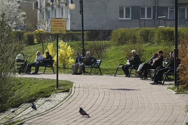Kolejny park rekreacyjno-wypoczynkowy, jak Kiloński powstanie w Gdyni.