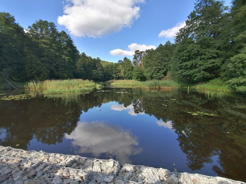 Ostatnie powiewy lata w Spale. Słoneczna niedziela nad spalskim stawem [ZDJĘCIA]