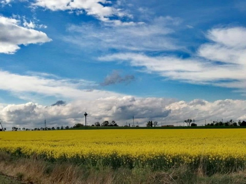 Najlepsze fotografie sycowian w 2020 roku. Zobacz zdjęcia czytelników