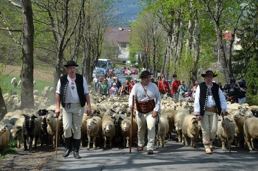 Sanok członkiem Porozumienia Karpackiego &quot;Karpaty Naszym Domem&quot;