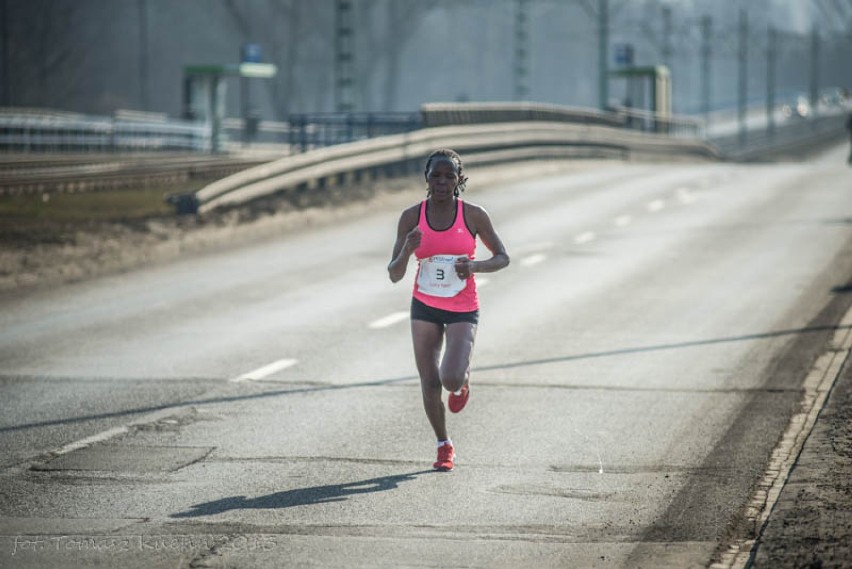 Poznań Półmaraton 2013