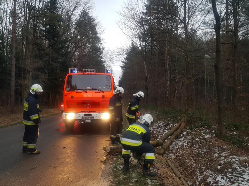 Po godz. 7 strażacy z OSP Dębowiec usuwali drzewo powalone na drodze powiatowej Dębowiec - Folusz w miejscowości Cieklin.