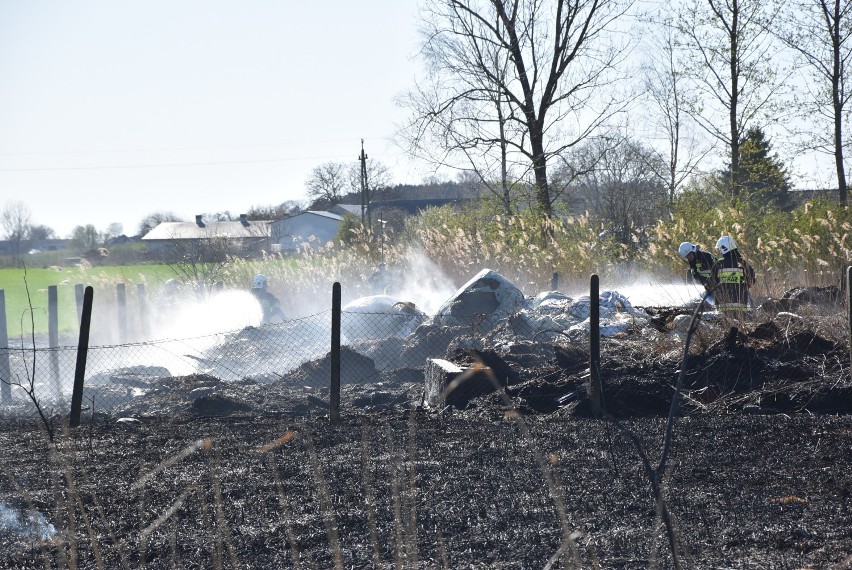 Pożar w Czajczu. Na powierzchni 1,5 hektara została tylko spalona ziemia [ZDJĘCIA]