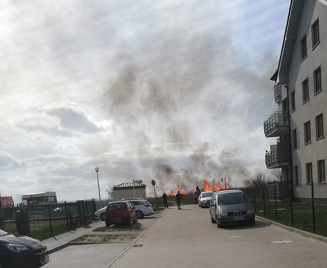 Palą się trawy niedaleko bloków mieszkalnych na os. Pyrzyckim.