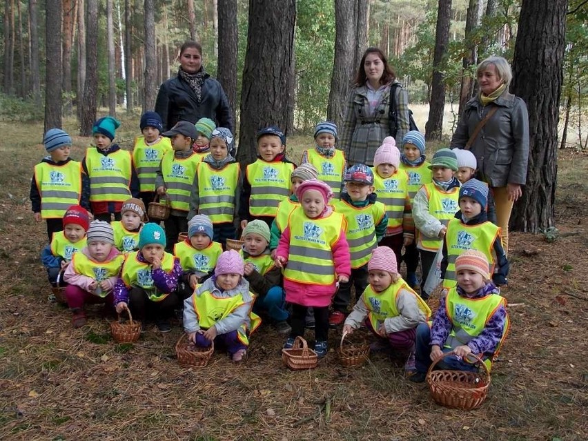 Nowy Tomyśl. Przedszkolaki na grzybach [FOTO]