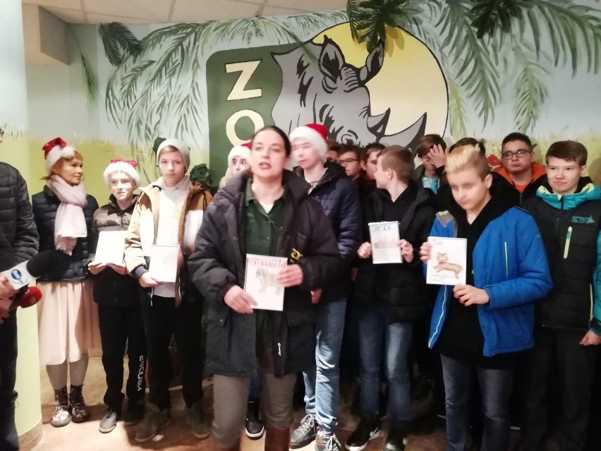 Tygrysy w Poznaniu: Jeśli nie wyjadą, czeka je śmierć. Przez błędy urzędników zwierzęta nie mogą opuścić zoo