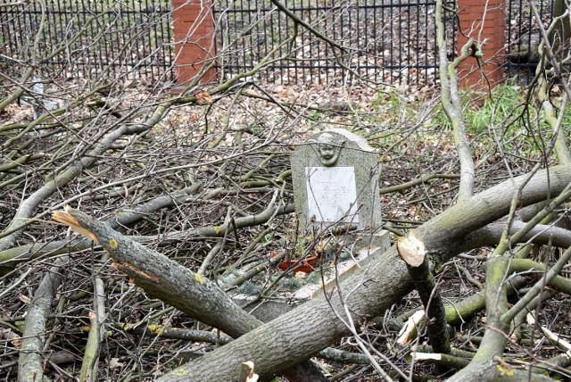 Konar spadł na nagrobki dzieci na cmentarzu przy ul. Wrocławskiej w Opolu