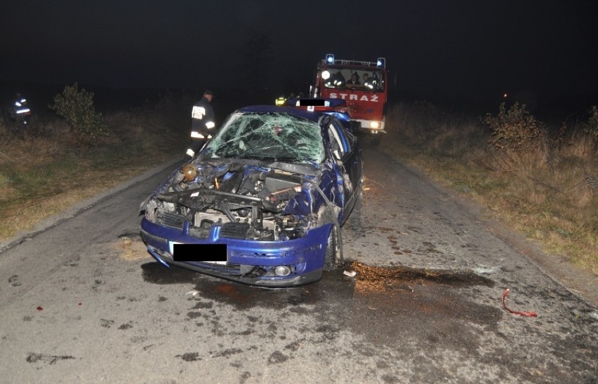 Policja ustala okoliczności wypadku w Kolonii Piszczac