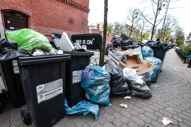 O takich widokach bydgoszczanie maja szybko zapomnieć. Pomoc ma w tym ProNatura i Remondis.