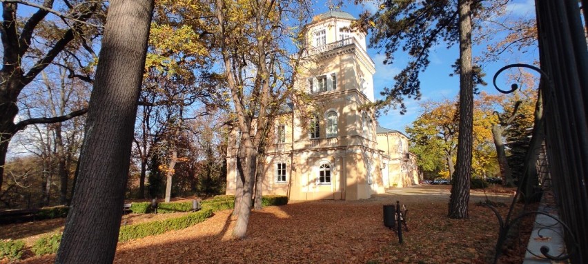 Muzeum hr. Ostrowskiego w Tomaszowie Mazowieckim