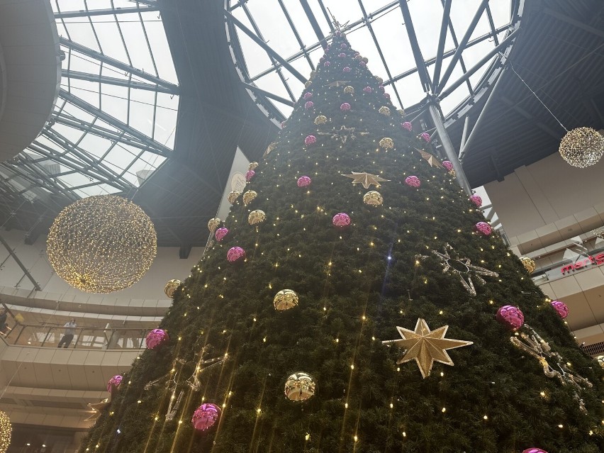 Boże Narodzenie 2023. Ozdoby świąteczne już w Galerii Korona w Kielcach. Jest gigantyczna choinka i światełka. Zobacz film i zdjęcia