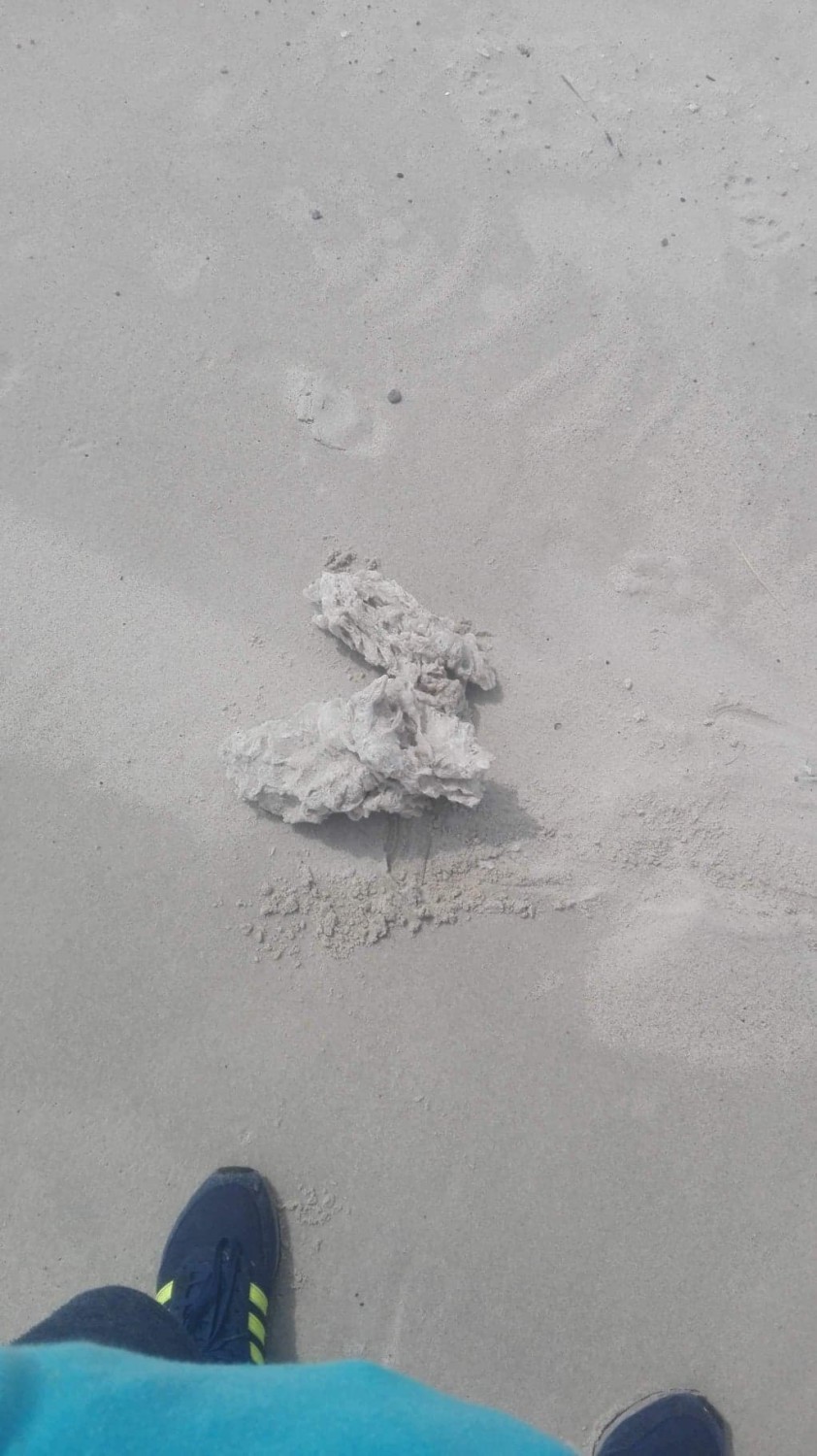 Zbrylona biała substancja na baltyckich plażach
