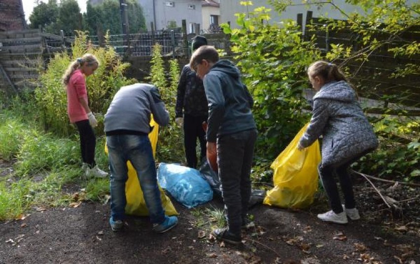 Zabrze: Uczniowie zbierali śmieci w ramach nowej akcji ekologicznej. ZDJĘCIA