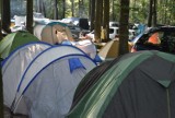 SKORZĘCIN: Gdzie w wakacje wybrać się pod namiot?  To pole namiotowe jest przyjazne dla rodzin [GALERIA]