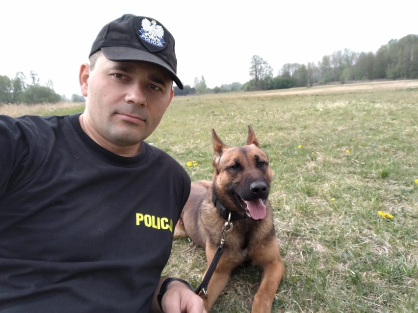 Choszczno. Policyjny pies Magister odnalazł 75-letnią zaginioną