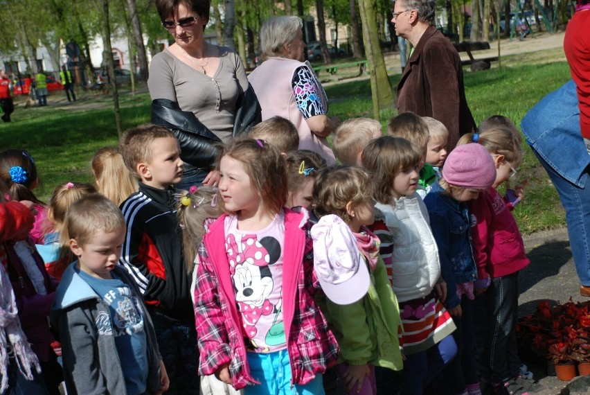 Międzychodzkie przedszkolaki posadziły begonie