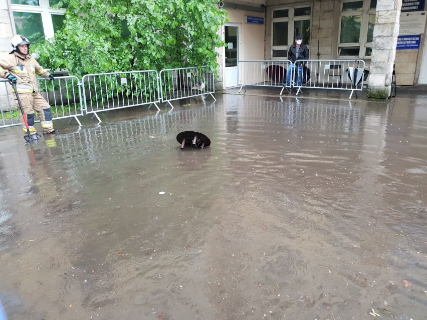 Ulewne deszcze w powiecie tomaszowskim. Zalany dziedziniec szpitala w Tomaszowie [ZDJĘCIA]