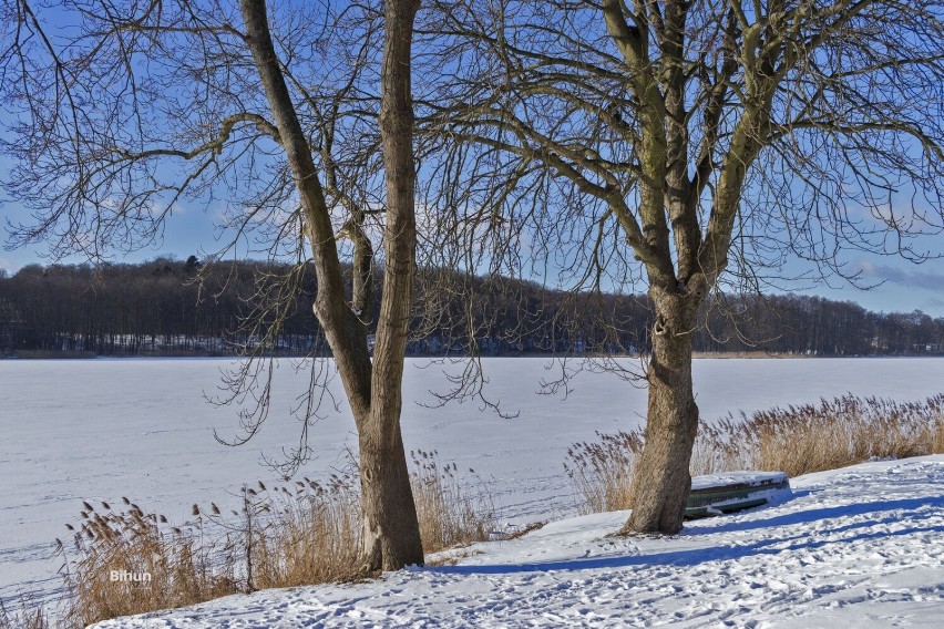 Cieszmy sie zimą póki jeszcze trwa. Jezioro Miejskie skute lodem, otulone śniegiem i oświetlone słońcem