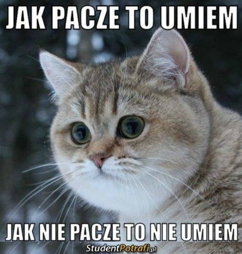 Kawały O Studentach Na Egzaminie