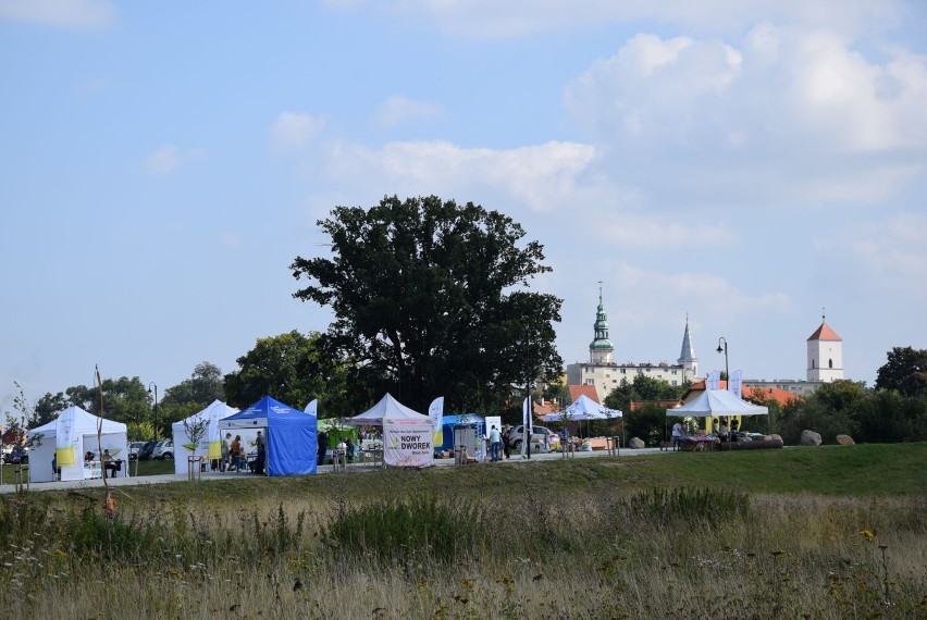 Bytomskie Błonia w Bytomiu Odrzańskim były miejscem festynu