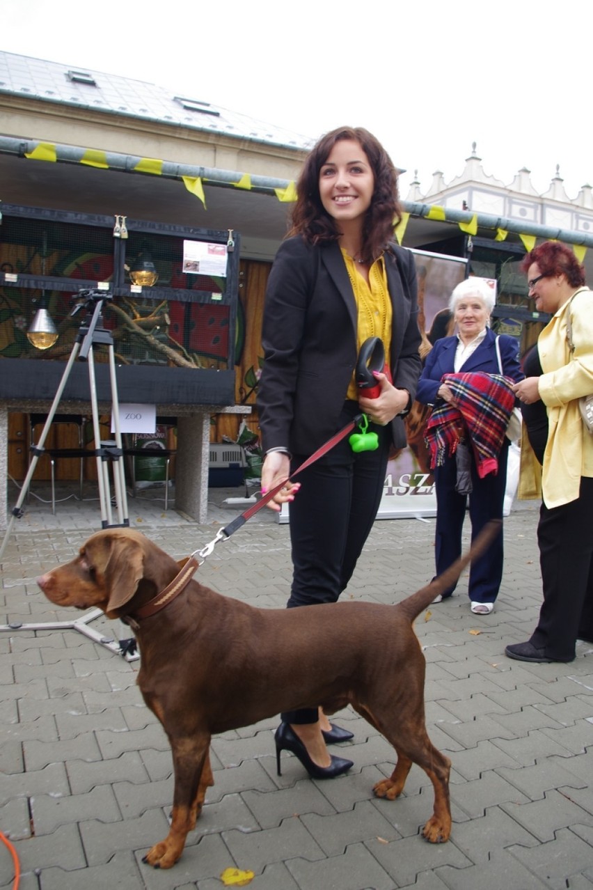 Zielony Ryneczek w Zamościu. Niedziela z pupilem