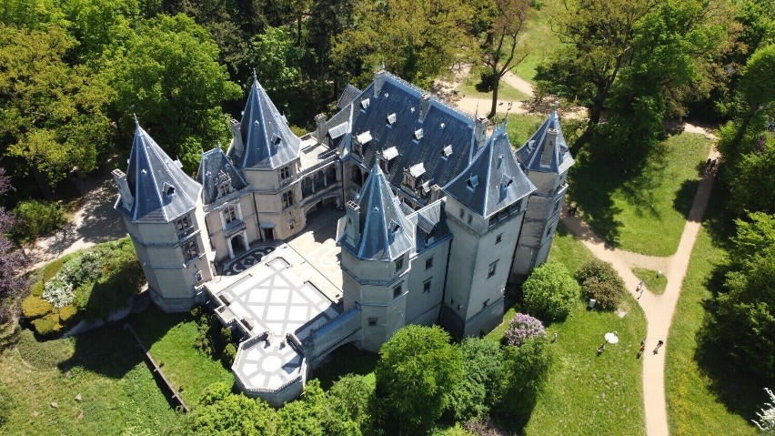Zamek w Gołuchowie z kolejnym cennym dziełem, które powróciło po 80 latach! Historia po raz kolejny zatoczyła koło!