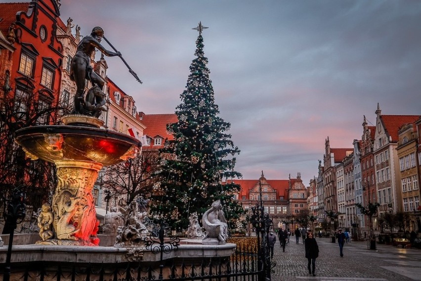 Choinka na Długim Targu w Gdańsku już stoi! Świąteczne iluminacje pojawiły się także przy Forum Gdańsk 