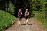 Spacer z kijkami Doliną Żabnika. Ruszyły zapisy do VIII Rajdu Nordic Walking w Ciężkowicach