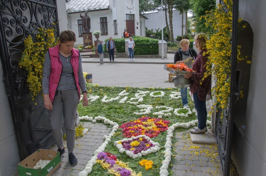 Mieszkańcy Urzędowa na uroczystość Bożego Ciała ułożyli 45-metrowy dywan z kwiatów