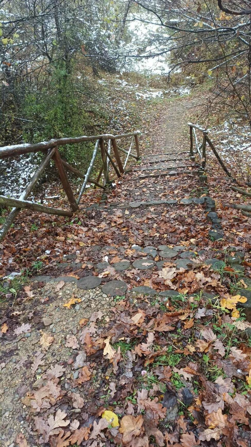 Zły stan schodów w okolicy Kopca Tatarskiego w Przemyślu.