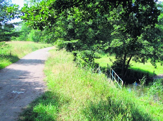 Odcinek na grobli przy pierwszym stawie na pewno należy do gminy