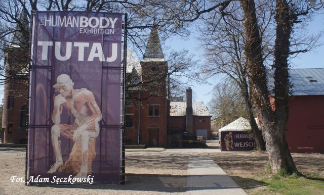 Wystawa &quot;The Human Body&quot; ma nauczyć zwiedzających dostrzegać piękno ludzkiego ciała. Fot. Adam Sęczkowski