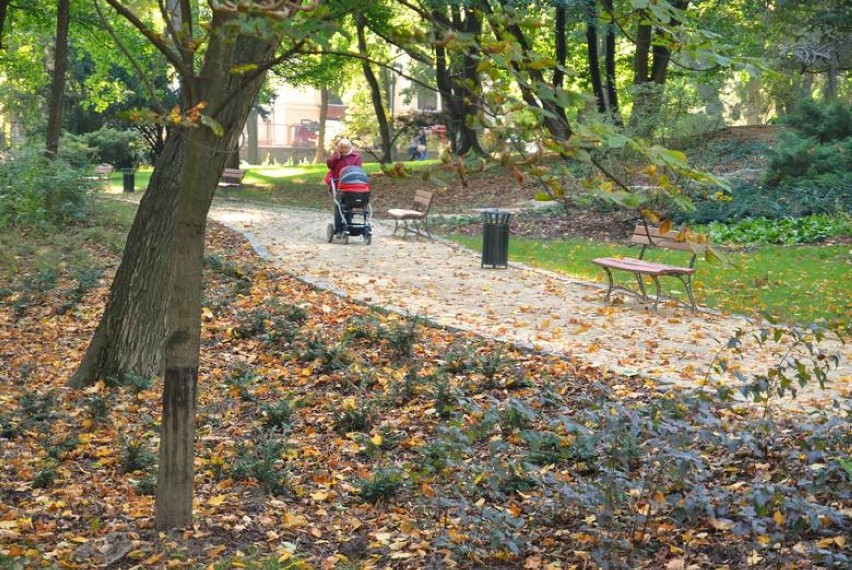 Prognoza pogody dla woj. lubelskiego na weekend. Czy będzie słonecznie? (WIDEO) 